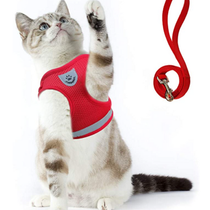 AdventureKit™ Katten Tuigje | Veilig en comfortabel samen op avontuur zonder ontsnappen