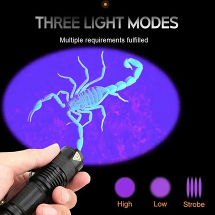 UVScan™ LED UV Zaklamp voor Inspectie | Ontdek verborgen vlekken en vuil in seconden