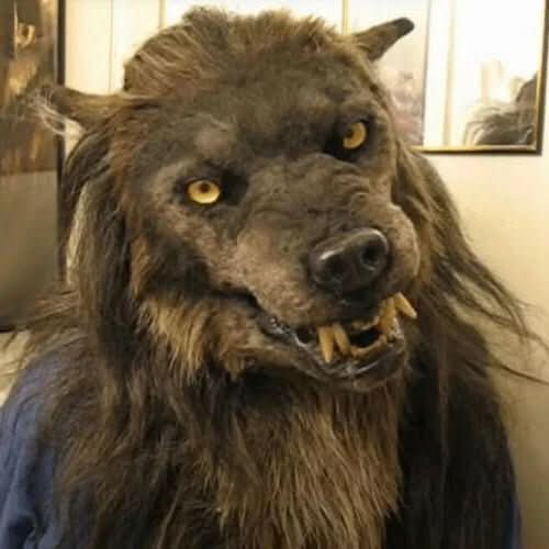 MOONHOWL™ Weerwolfmasker | Transformeer jezelf in een angstaanjagende weerwolf