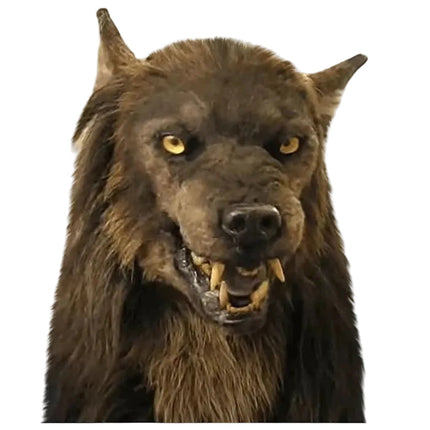 MOONHOWL™ Weerwolfmasker | Transformeer jezelf in een angstaanjagende weerwolf