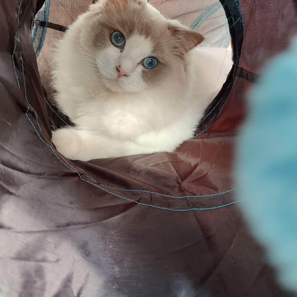 TunnelPlay™ Kattentunnel | Houd je kat actief, speels en tevreden