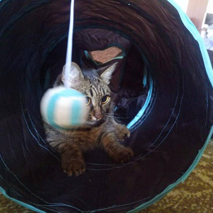 TunnelPlay™ Kattentunnel | Houd je kat actief, speels en tevreden