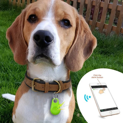 TrackSafe™ Bluetooth Tracker | Voorkom kwijtgeraakte huisdieren en spullen zonder abonnementskosten