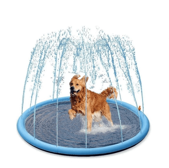 SplashPaws™ Hondensproeier | Verkoeling en speelplezier op warme dagen
