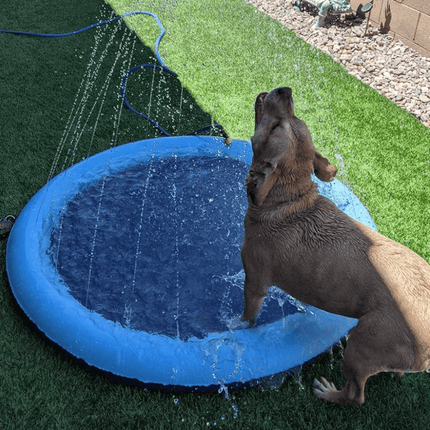 SplashPaws™ Hondensproeier | Verkoeling en speelplezier op warme dagen