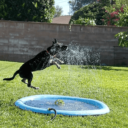 SplashPaws™ Hondensproeier | Verkoeling en speelplezier op warme dagen