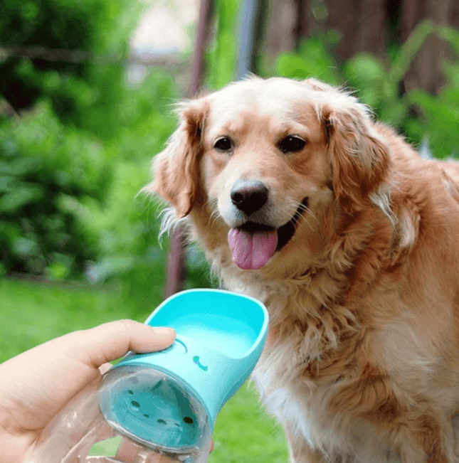HydroPaw™ Drinkfles | Altijd schoon water voor je hond, waar je ook bent