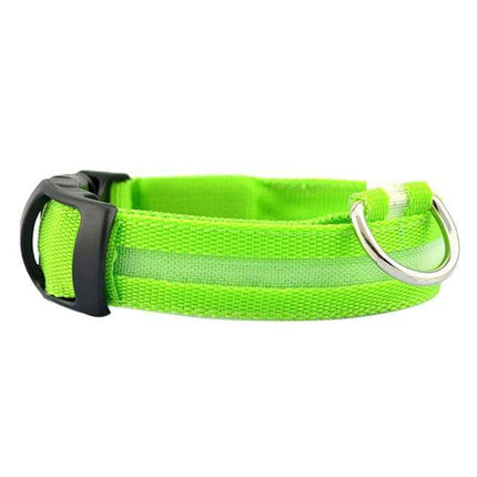 GlowSafe™ LED Hondenhalsband | Maximale zichtbaarheid en veiligheid in het donker