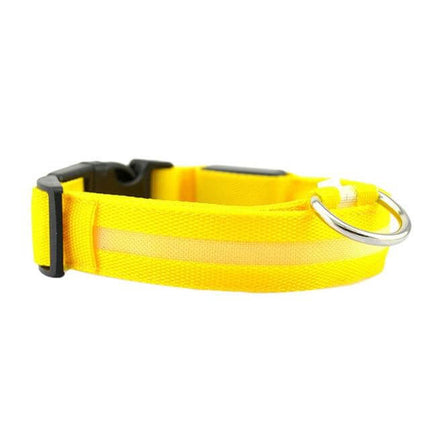 GlowSafe™ LED Hondenhalsband | Maximale zichtbaarheid en veiligheid in het donker