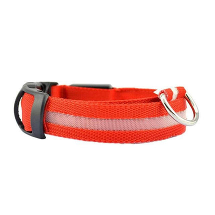 GlowSafe™ LED Hondenhalsband | Maximale zichtbaarheid en veiligheid in het donker
