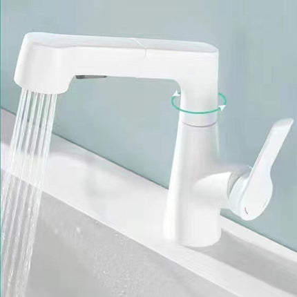 FlexFlow™ Uittrekbare Badkraan | Maximale flexibiliteit en controle in elke badkamer
