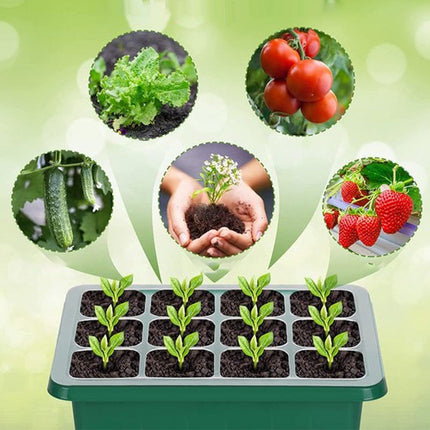 GrowStart™ Kweekbak met Groeilamp | Laat je planten bij de start direct sneller en sterker groeien