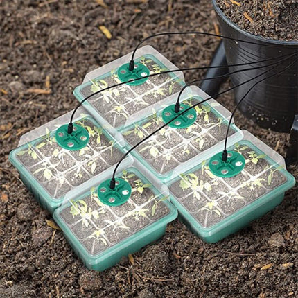 GrowStart™ Kweekbak met Groeilamp | Laat je planten bij de start direct sneller en sterker groeien